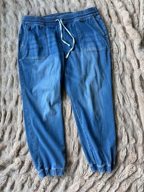 Lane Bryant Drawstring Ankle Jogger Pants